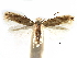  ( - CCDB-29066-B04_NGS)  @11 [ ] CreativeCommons - Attribution (2016) CBG Photography Group Centre for Biodiversity Genomics
