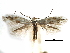  ( - CCDB-29066-C05_NGS)  @11 [ ] CreativeCommons - Attribution (2016) CBG Photography Group Centre for Biodiversity Genomics