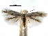  ( - CCDB-29066-C06_NGS)  @11 [ ] CreativeCommons - Attribution (2016) CBG Photography Group Centre for Biodiversity Genomics