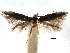  ( - CCDB-29066-D06_NGS)  @11 [ ] CreativeCommons - Attribution (2016) CBG Photography Group Centre for Biodiversity Genomics