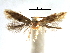  ( - CCDB-29066-D08_NGS)  @11 [ ] CreativeCommons - Attribution (2016) CBG Photography Group Centre for Biodiversity Genomics