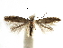  ( - CCDB-29066-E01_NGS)  @11 [ ] CreativeCommons - Attribution (2016) CBG Photography Group Centre for Biodiversity Genomics