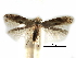  ( - CCDB-29066-E02_NGS)  @11 [ ] CreativeCommons - Attribution (2016) CBG Photography Group Centre for Biodiversity Genomics