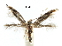  ( - CCDB-29066-E04_NGS)  @11 [ ] CreativeCommons - Attribution (2016) CBG Photography Group Centre for Biodiversity Genomics