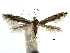 ( - CCDB-29066-E05_NGS)  @11 [ ] CreativeCommons - Attribution (2016) CBG Photography Group Centre for Biodiversity Genomics