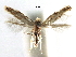  ( - CCDB-29066-E11_NGS)  @11 [ ] CreativeCommons - Attribution (2016) CBG Photography Group Centre for Biodiversity Genomics