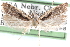  ( - CCDB-29067-A07_NGS)  @11 [ ] CreativeCommons - Attribution (2016) CBG Photography Group Centre for Biodiversity Genomics