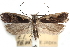  ( - CCDB-29067-A10_NGS)  @11 [ ] CreativeCommons - Attribution (2016) CBG Photography Group Centre for Biodiversity Genomics