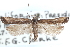  ( - CCDB-29067-B01_NGS)  @13 [ ] CreativeCommons - Attribution (2016) CBG Photography Group Centre for Biodiversity Genomics