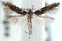  ( - CCDB-29067-F07_NGS)  @11 [ ] CreativeCommons - Attribution (2016) CBG Photography Group Centre for Biodiversity Genomics