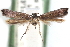  ( - CCDB-29067-H03_NGS)  @11 [ ] CreativeCommons - Attribution (2016) CBG Photography Group Centre for Biodiversity Genomics