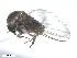  ( - BIOUG02455-A08)  @12 [ ] CreativeCommons - Attribution (2012) CBG Photography Group Centre for Biodiversity Genomics