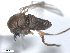  ( - BIOUG02455-A09)  @12 [ ] CreativeCommons - Attribution (2012) CBG Photography Group Centre for Biodiversity Genomics