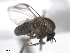  ( - BIOUG02455-A12)  @12 [ ] CreativeCommons - Attribution (2012) CBG Photography Group Centre for Biodiversity Genomics
