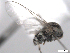  ( - BIOUG02455-C05)  @12 [ ] CreativeCommons - Attribution (2012) CBG Photography Group Centre for Biodiversity Genomics