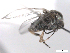  ( - BIOUG02455-C08)  @12 [ ] CreativeCommons - Attribution (2012) CBG Photography Group Centre for Biodiversity Genomics