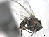  ( - BIOUG02455-F08)  @12 [ ] CreativeCommons - Attribution (2012) CBG Photography Group Centre for Biodiversity Genomics