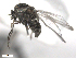  ( - BIOUG02455-H09)  @13 [ ] CreativeCommons - Attribution (2012) CBG Photography Group Centre for Biodiversity Genomics