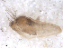  ( - BIOUG02455-C05)  @12 [ ] CreativeCommons - Attribution (2012) CBG Photography Group Centre for Biodiversity Genomics