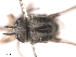  ( - BIOUG02455-C07)  @12 [ ] CreativeCommons - Attribution (2012) CBG Photography Group Centre for Biodiversity Genomics
