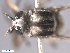  ( - BIOUG02455-F09)  @12 [ ] CreativeCommons - Attribution (2012) CBG Photography Group Centre for Biodiversity Genomics