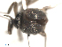  ( - BIOUG02455-A02)  @12 [ ] CreativeCommons - Attribution (2012) CBG Photography Group Centre for Biodiversity Genomics