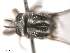  ( - BIOUG02455-C07)  @12 [ ] CreativeCommons - Attribution (2012) CBG Photography Group Centre for Biodiversity Genomics