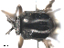  ( - BIOUG02455-G01)  @12 [ ] CreativeCommons - Attribution (2012) CBG Photography Group Centre for Biodiversity Genomics
