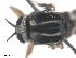  ( - BIOUG02455-G12)  @12 [ ] CreativeCommons - Attribution (2012) CBG Photography Group Centre for Biodiversity Genomics