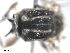  ( - BIOUG02455-H09)  @12 [ ] CreativeCommons - Attribution (2012) CBG Photography Group Centre for Biodiversity Genomics