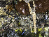  ( - NIB_CCM_1245)  @11 [ ] by_nc (2025) Picton, B.E. Queen's University, Belfast