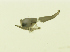  ( - SML_431150_000)  @12 [ ] No Rights Reserved (2012) Katey Marancik NOAA, Northeast Fisheries Science Center