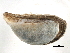 ( - BIOUG13626-F11)  @14 [ ] CreativeCommons - Attribution (2014) CBG Photography Group Centre for Biodiversity Genomics