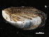  ( - BIOUG13626-H02)  @14 [ ] CreativeCommons - Attribution (2014) CBG Photography Group Centre for Biodiversity Genomics