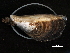  ( - BIOUG13626-H04)  @14 [ ] CreativeCommons - Attribution (2014) CBG Photography Group Centre for Biodiversity Genomics