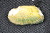  ( - MUS092-14.1)  @11 [ ] CreativeCommons - Attribution (2014) Jeremy deWaard Centre for Biodiversity Genomics