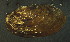  ( - BIOUG13947-A01)  @11 [ ] CreativeCommons - Attribution (2014) Kara Layton Centre for Biodiversity Genomics