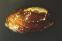  ( - BIOUG13947-C07)  @11 [ ] CreativeCommons - Attribution (2014) Kara Layton Centre for Biodiversity Genomics
