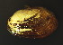  ( - BIOUG13947-C09)  @11 [ ] CreativeCommons - Attribution (2014) Kara Layton Centre for Biodiversity Genomics