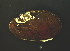  ( - BIOUG13947-F01)  @11 [ ] CreativeCommons - Attribution (2014) Kara Layton Centre for Biodiversity Genomics