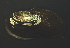  ( - BIOUG13947-H08)  @11 [ ] CreativeCommons - Attribution (2014) Kara Layton Centre for Biodiversity Genomics