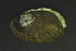  ( - BIOUG13947-H09)  @11 [ ] CreativeCommons - Attribution (2014) Kara Layton Centre for Biodiversity Genomics