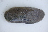  ( - MUS002-14)  @11 [ ] CreativeCommons - Attribution (2014) Unspecified Centre for Biodiversity Genomics
