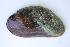  ( - MUS028-14)  @11 [ ] CreativeCommons - Attribution (2014) Unspecified Centre for Biodiversity Genomics