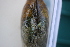  ( - MUS029-14)  @11 [ ] CreativeCommons - Attribution (2014) Unspecified Centre for Biodiversity Genomics