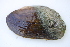  ( - MUS050-14.1)  @11 [ ] CreativeCommons - Attribution (2014) Unspecified Centre for Biodiversity Genomics