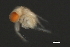  ( - 09PROBE-008757)  @11 [ ] CreativeCommons - Attribution (2009) Unspecified Centre for Biodiversity Genomics