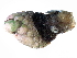  ( - 10BIOBC-00774)  @11 [ ] CreativeCommons - Attribution (2010) CBG Photography Group Centre for Biodiversity Genomics