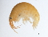  ( - 10BIOBC-01094)  @11 [ ] CreativeCommons - Attribution (2011) CBG Photography Group Centre for Biodiversity Genomics