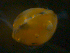  ( - 10BIOBC-00744)  @11 [ ] Unspecified (default): All Rights Reserved  Unspecified Unspecified
